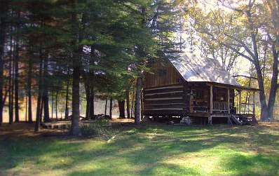 Build a Log Cabin