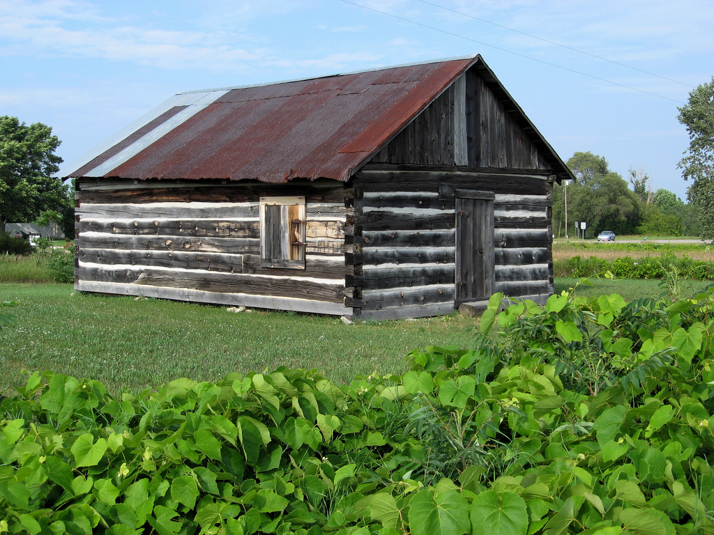 Shalda Michigan Log Cabin