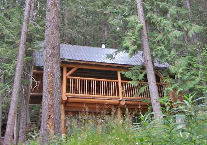 http://www.log-cabin-adventures.com/images/log-cabin-metal-roofing.jpg